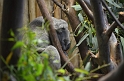 Kids_DZoo_Safari-I (6)